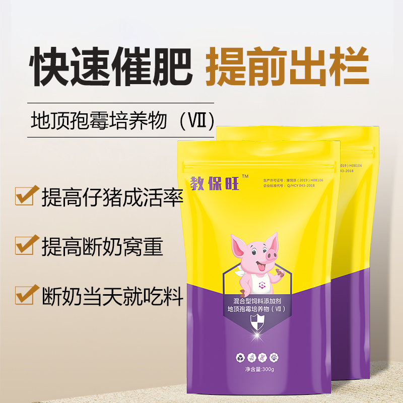 仔豬教槽誘料-教保旺