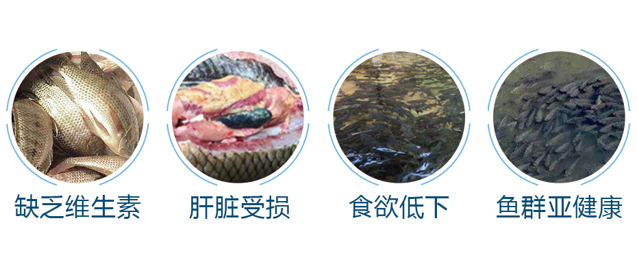 水產(chǎn)養(yǎng)殖中的常見問題