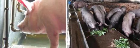 微信圖片_20210717104220