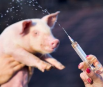 微信截圖_20220331113104 微信截圖_20220331113104