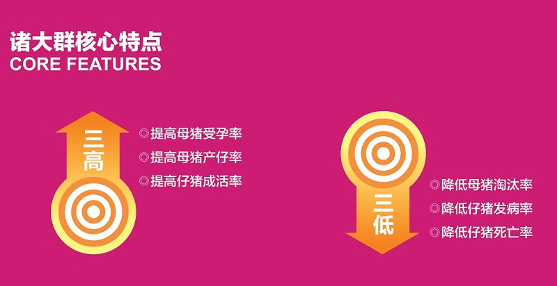 晨源生物諸大群特點(diǎn)