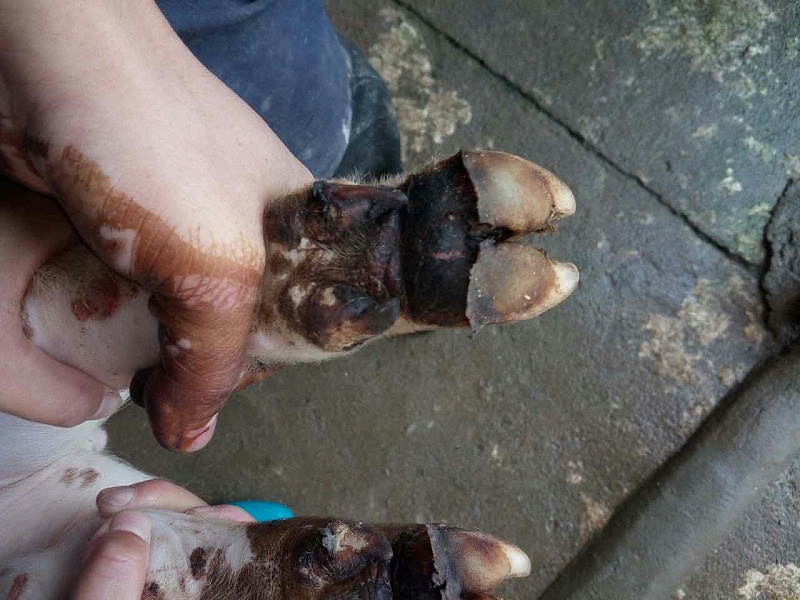 src=http___www.kangdf.cn_uploads_questions_20160418_135004809.gif&refer=http___www.kangdf src=http___www.kangdf.cn_uploads_questions_20160418_135004809.gif&refer=http___www.kangdf