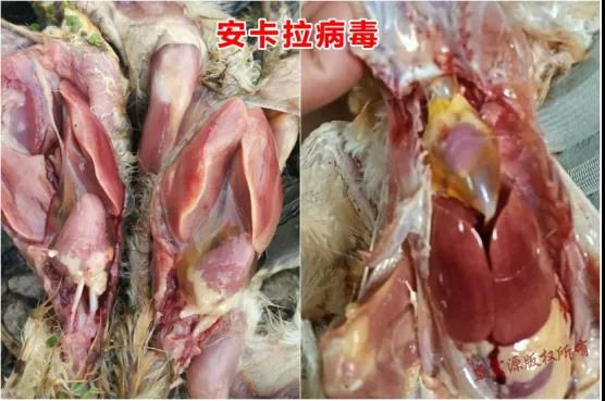 微信圖片_20210708171419