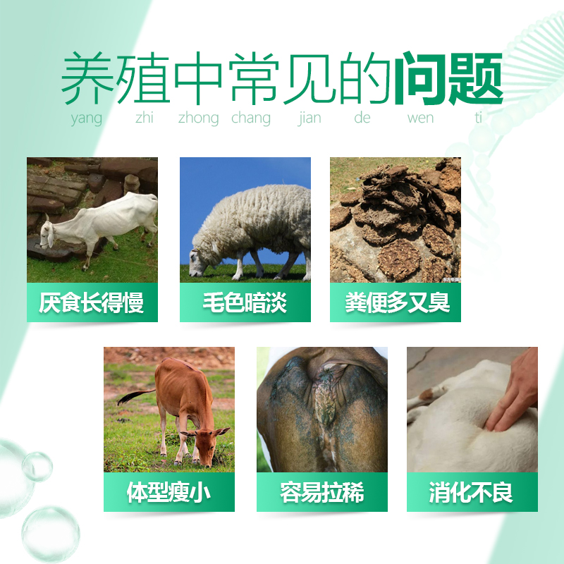 催肥促生長(zhǎng)-牛羊膘得壯