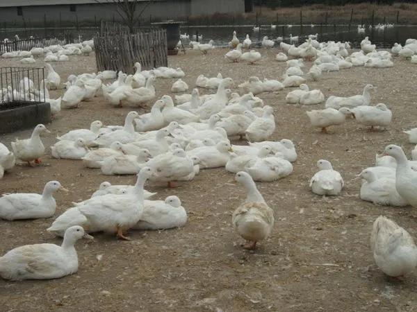 微信圖片_20210716115026