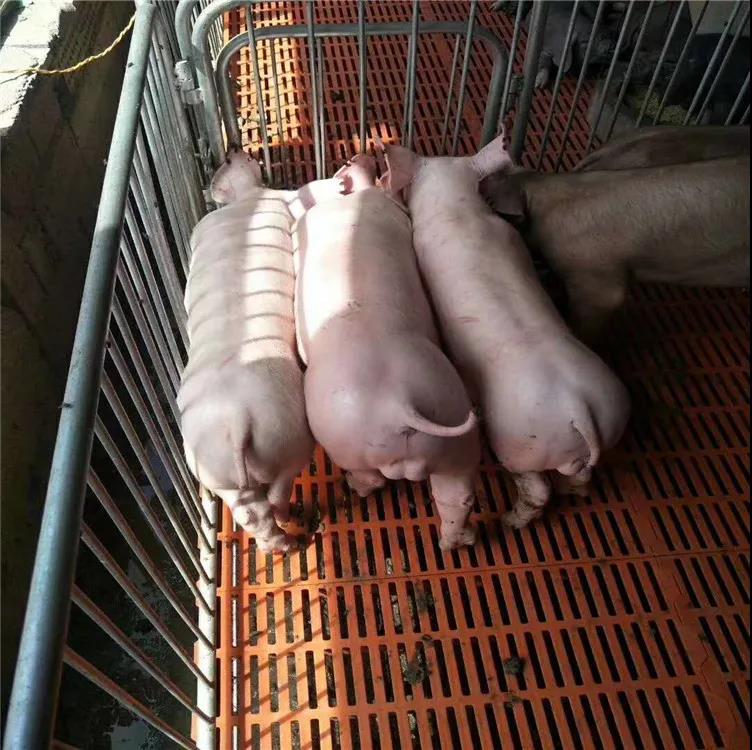 微信圖片_20210529184119