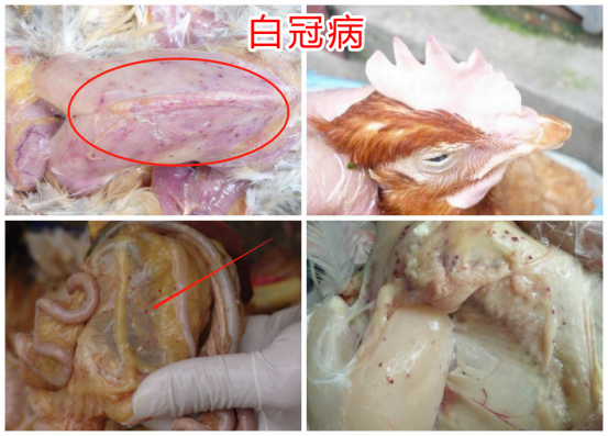 微信圖片_20210525174817