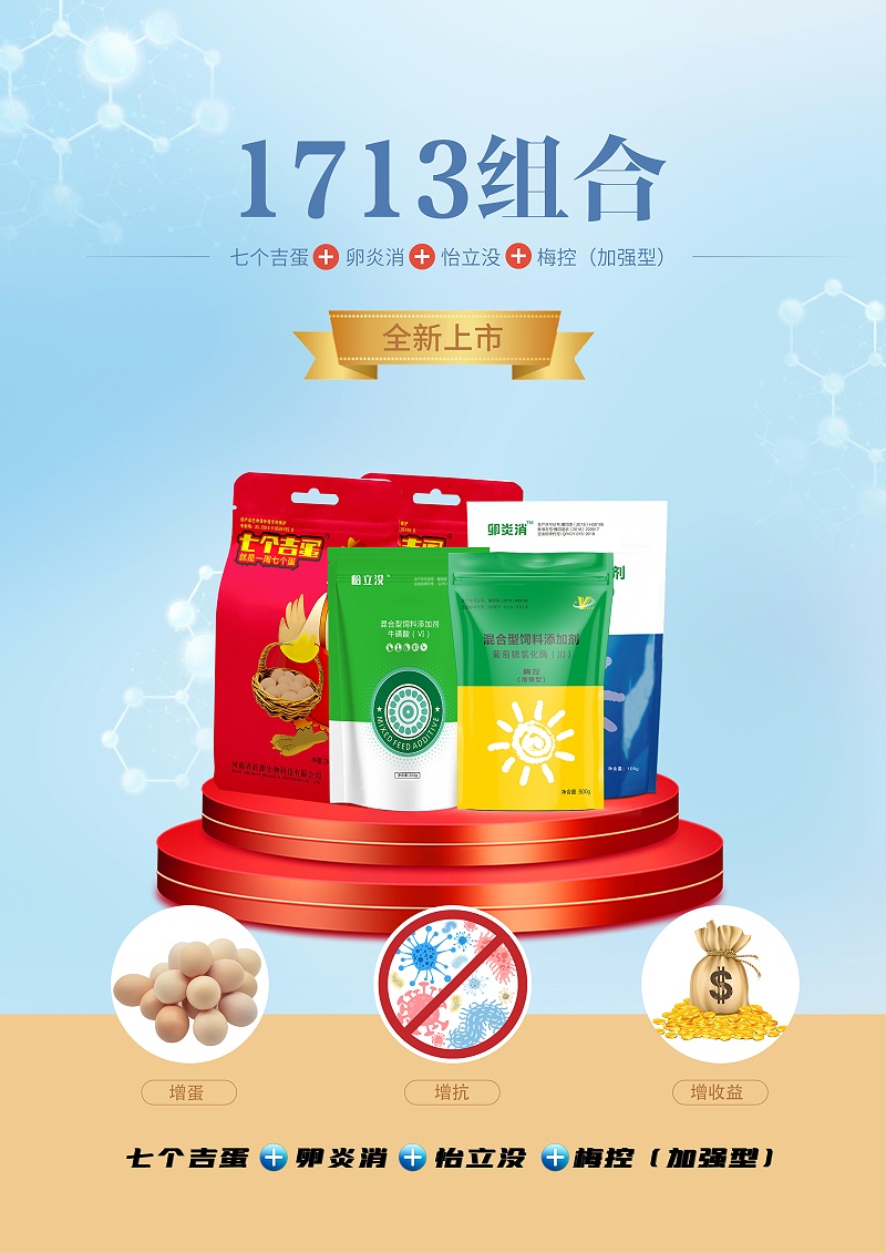 1713組合(1) 1713組合(1)