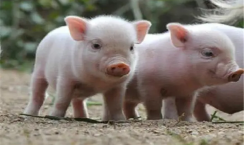 74e89b9105ea96a937c0b9053d53574 74e89b9105ea96a937c0b9053d53574